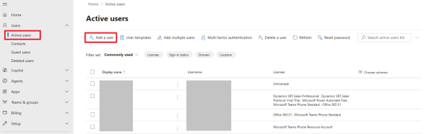 Graphic of add and delete users screen